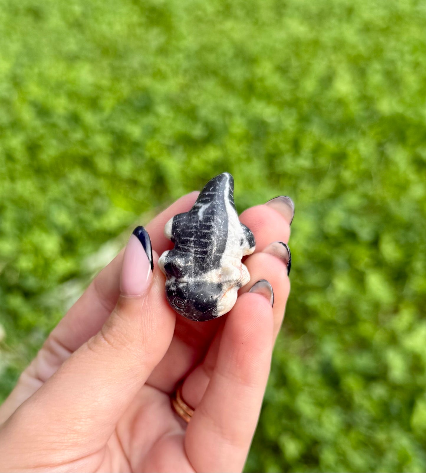 Zebra jasper axolotl carving
