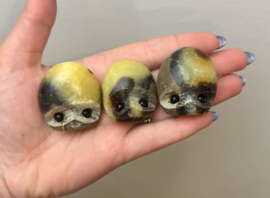 Septarian pebble pets