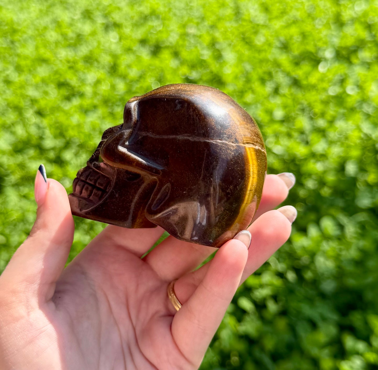 Tigers eye skull carving
