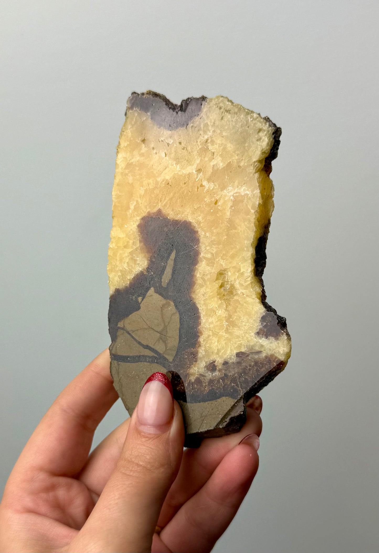 Septarian slab