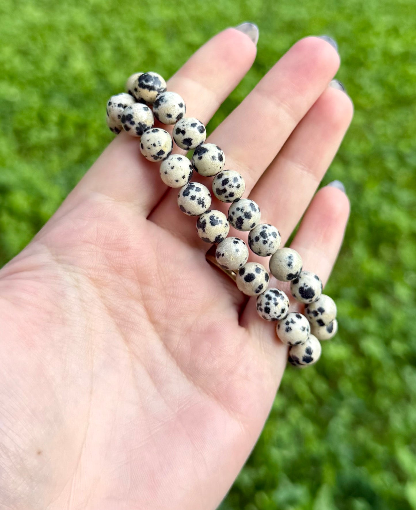 Dalmatian jasper bracelets