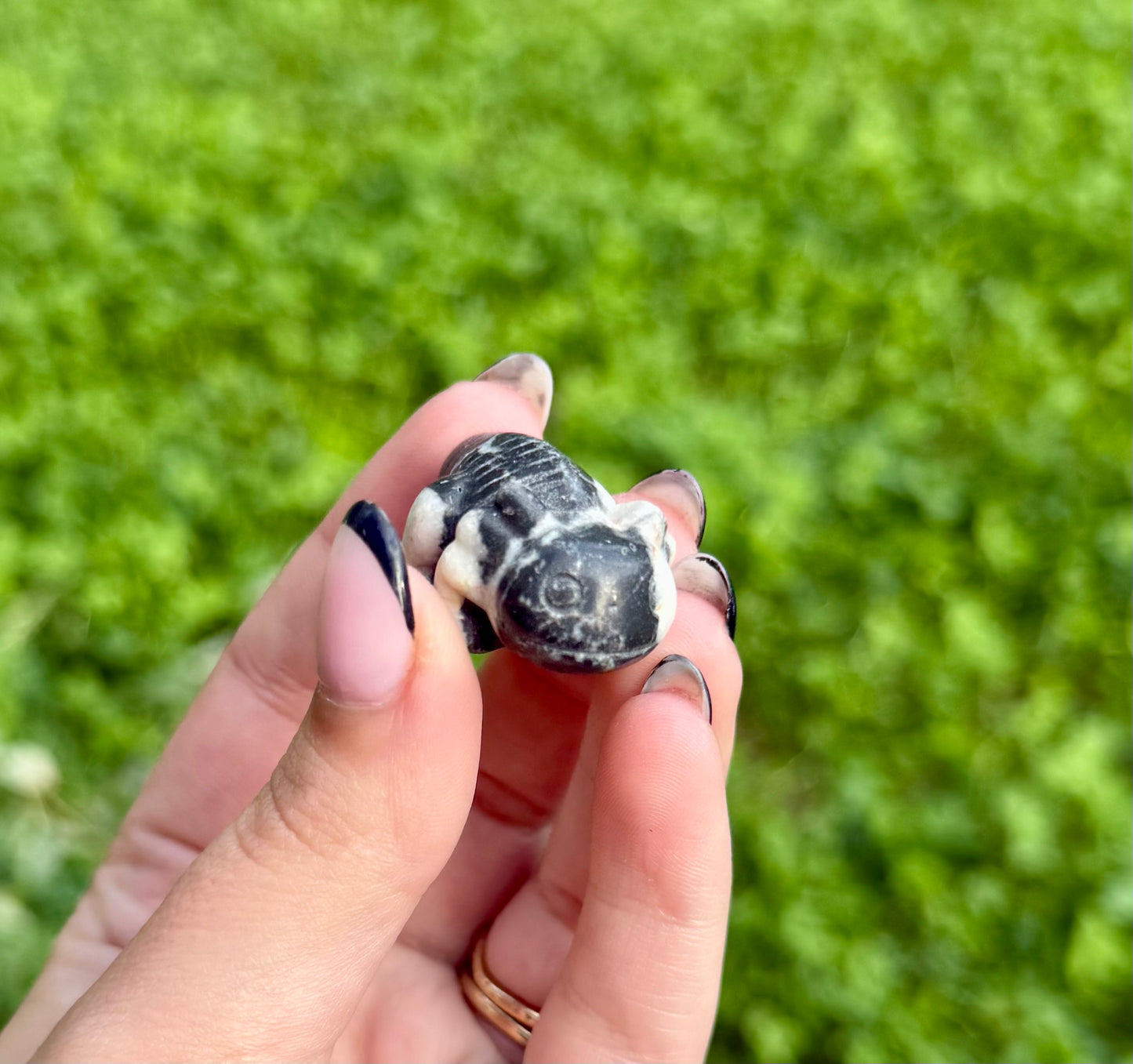 Zebra jasper axolotl carving