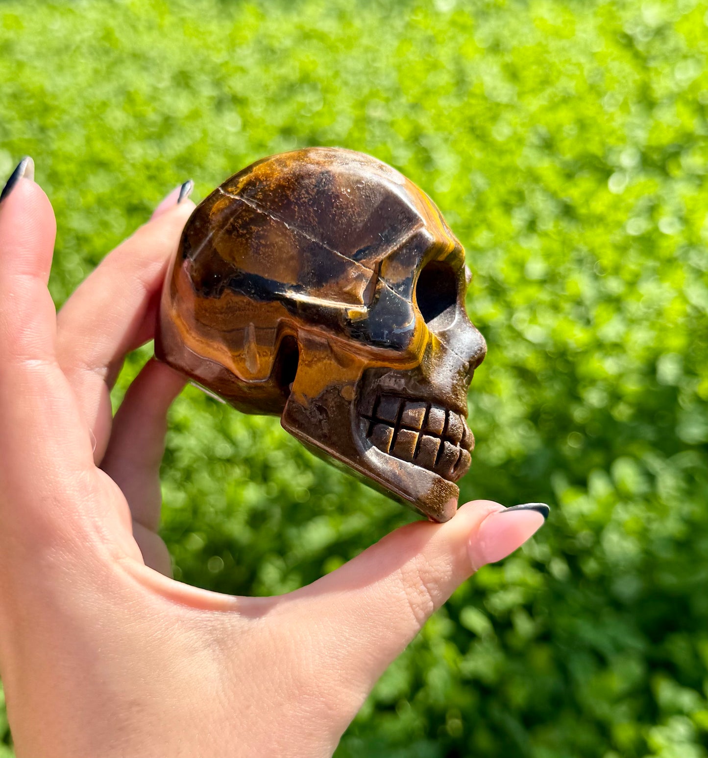 Tigers eye skull carving