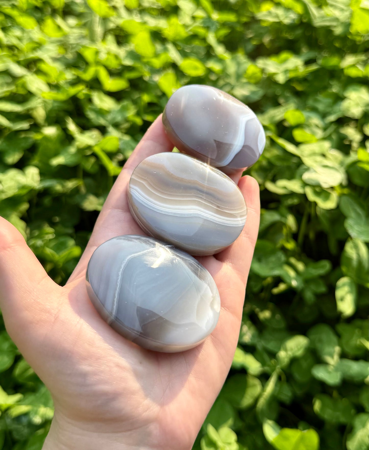 Agate palm stones
