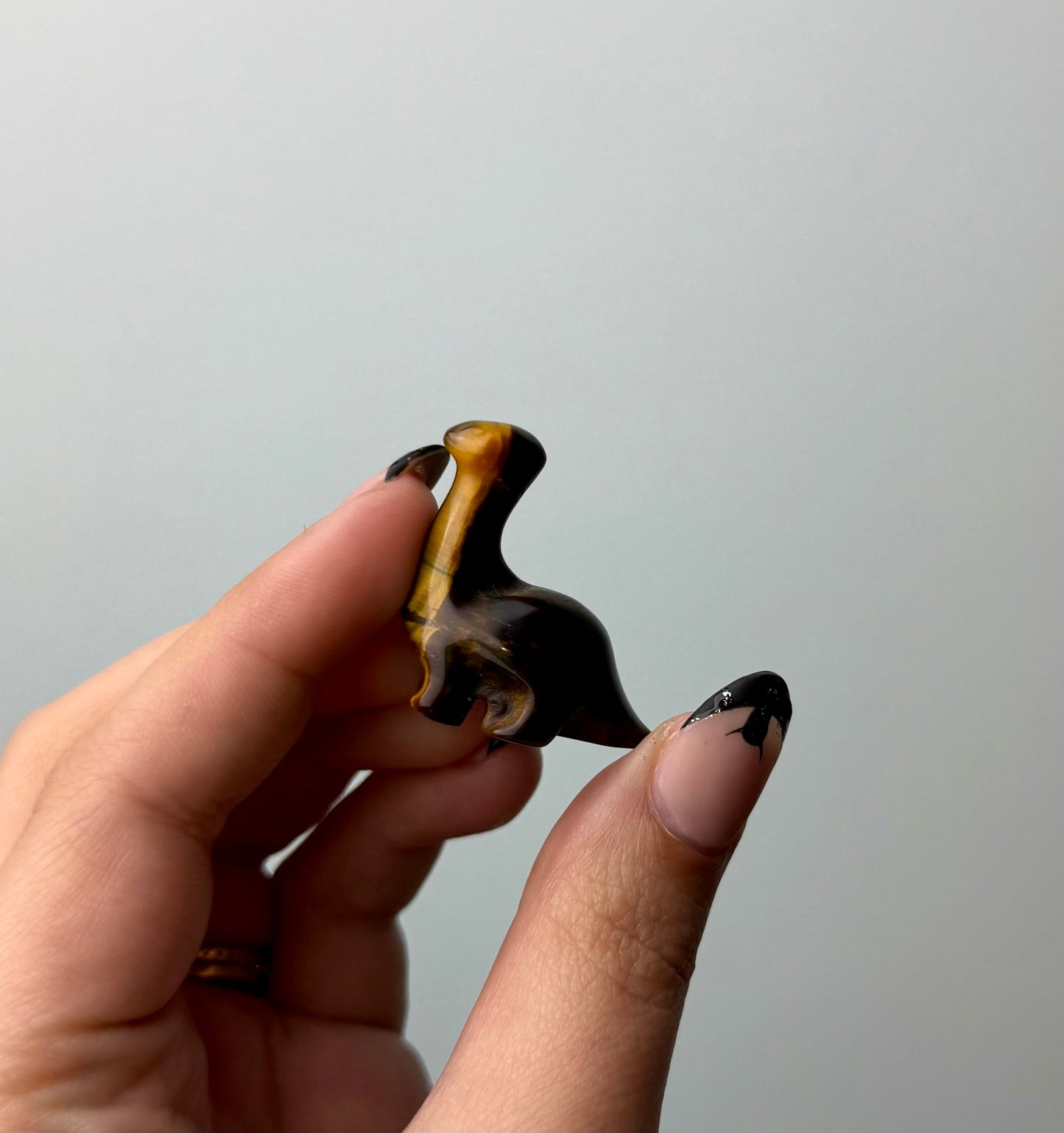 Tigers eye dinosaur carving