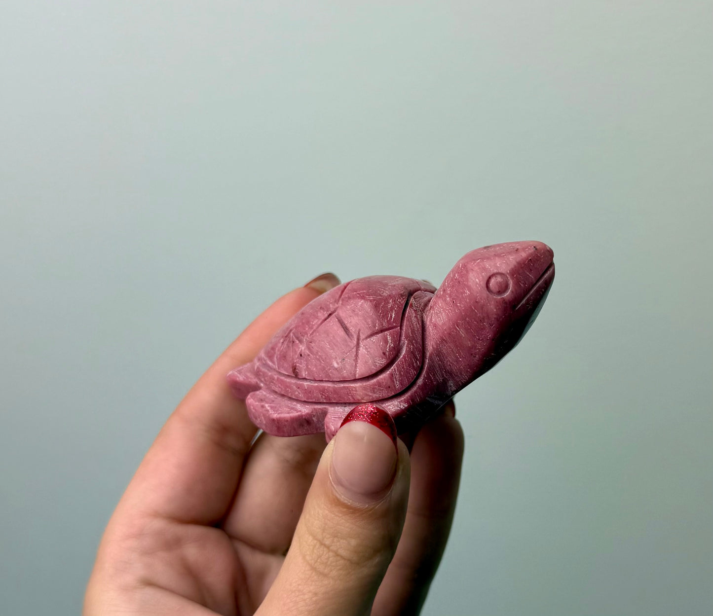 Sea turtle carving