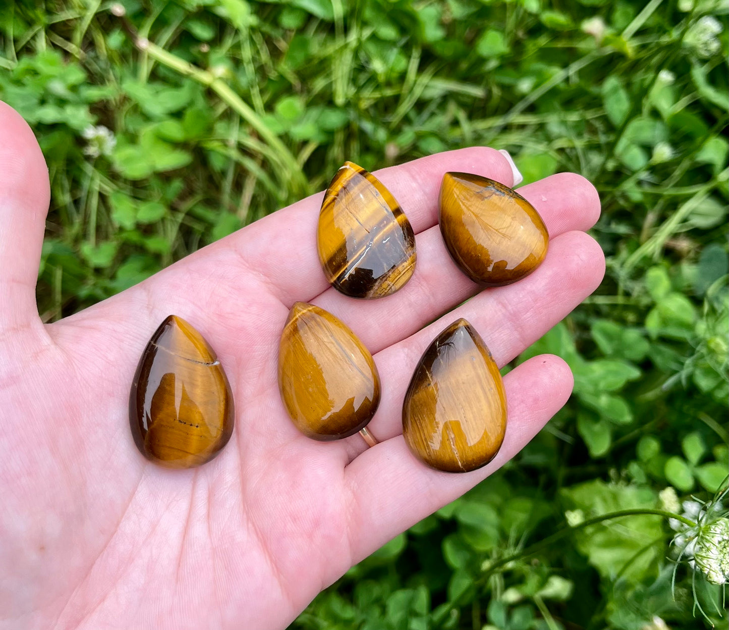 Tigers eye cabochons 