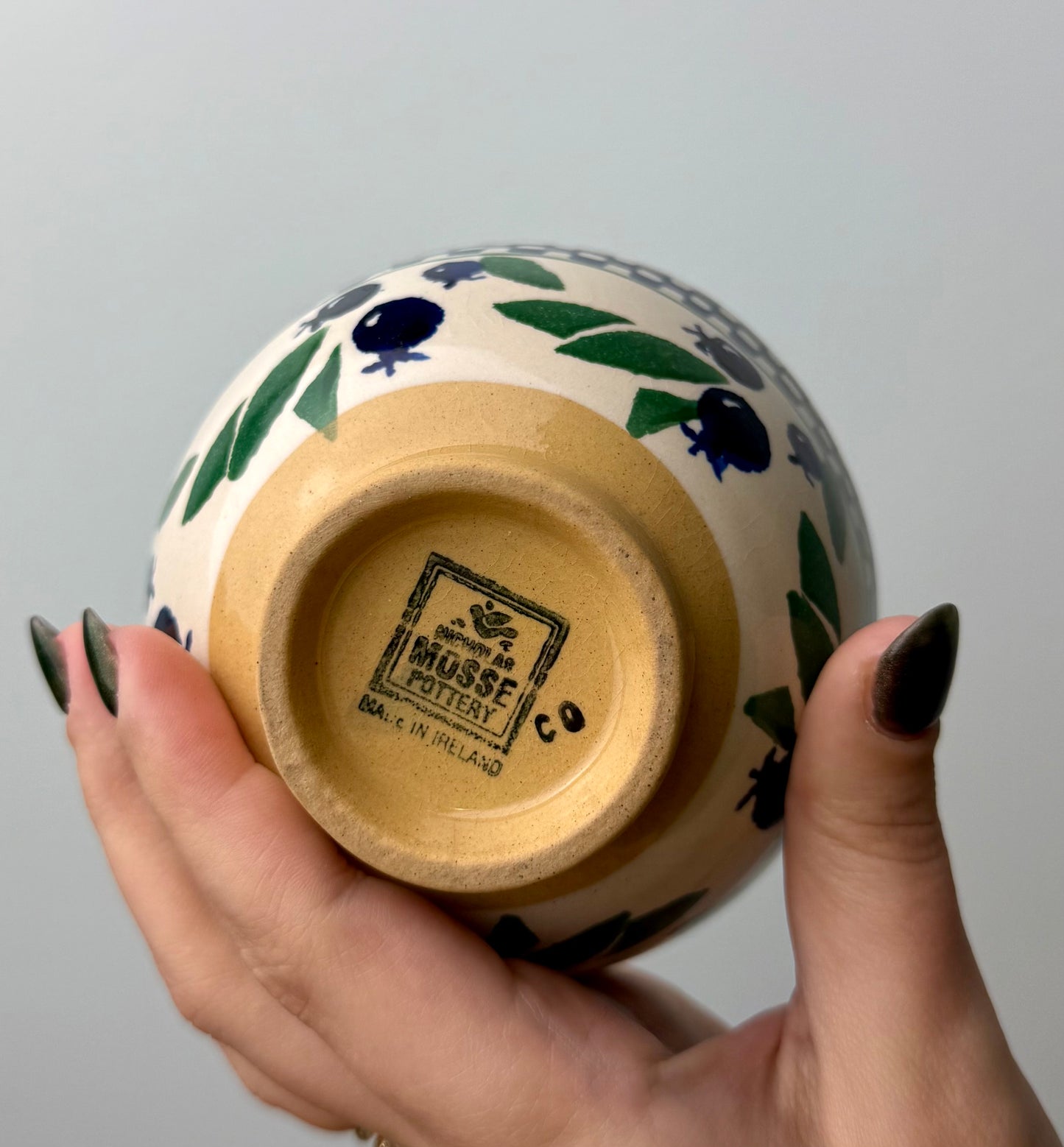 Blueberry bowl thrifted find