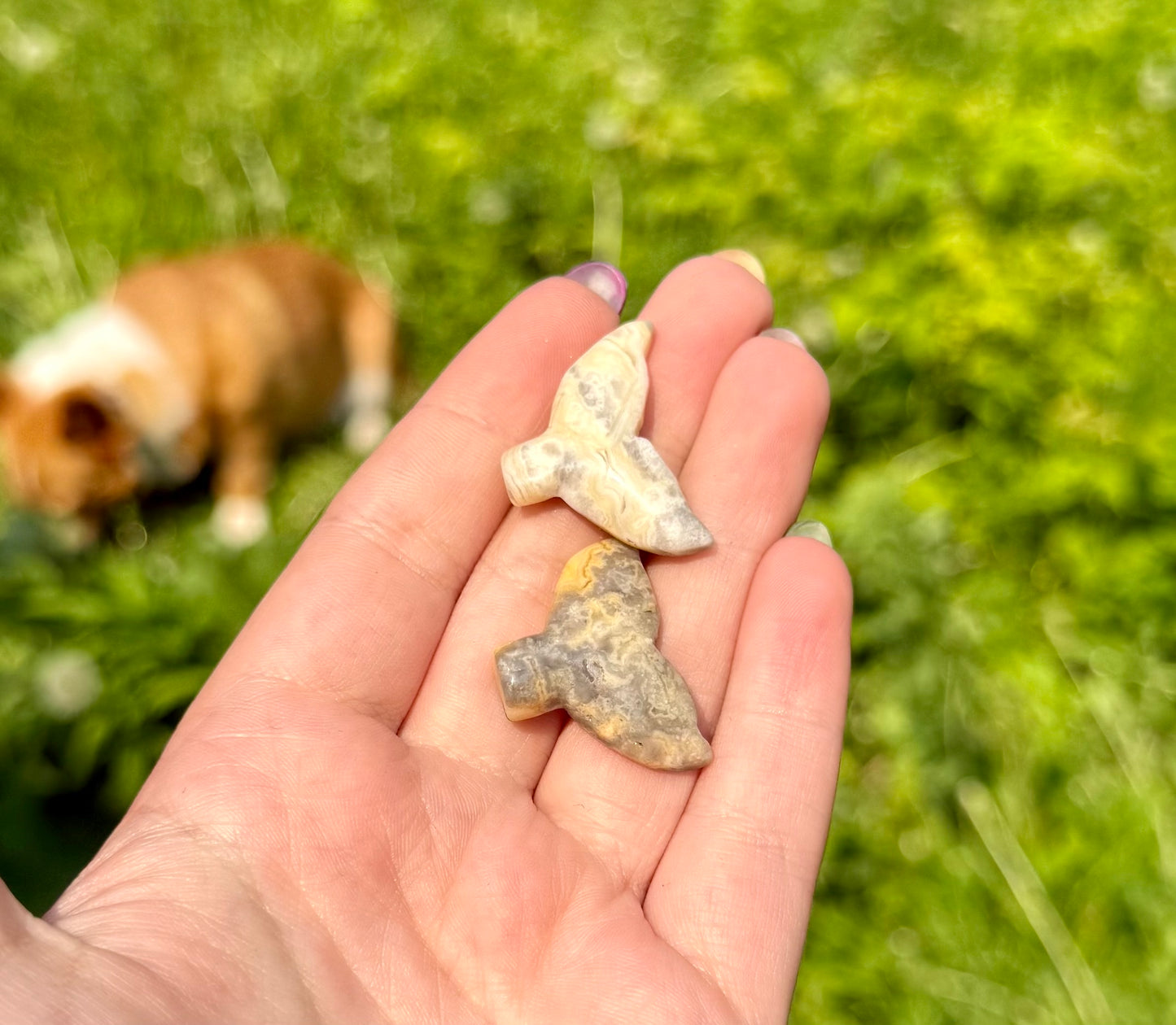 Crazy lace agate whale tail carvings