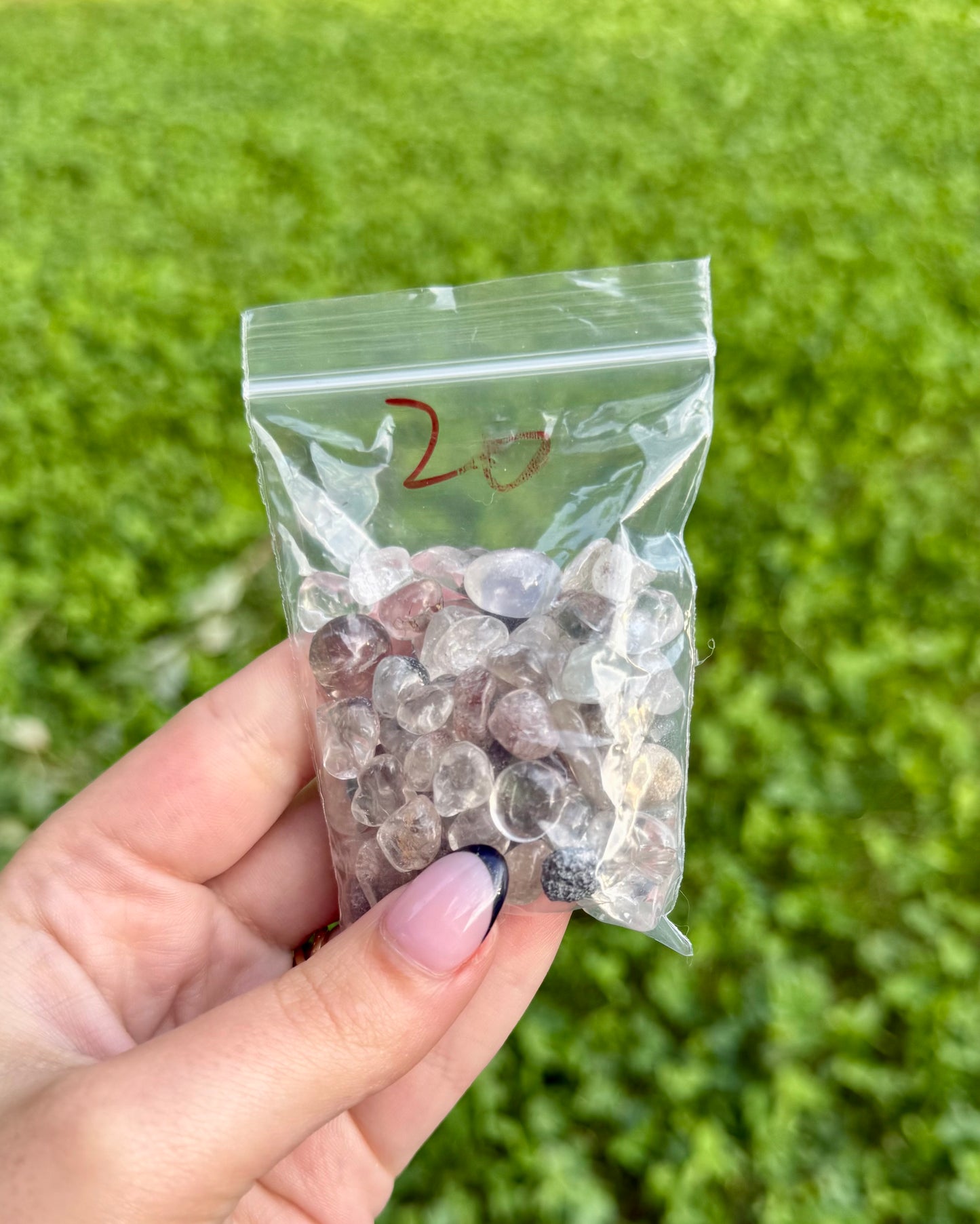 Garden Quartz chip bag