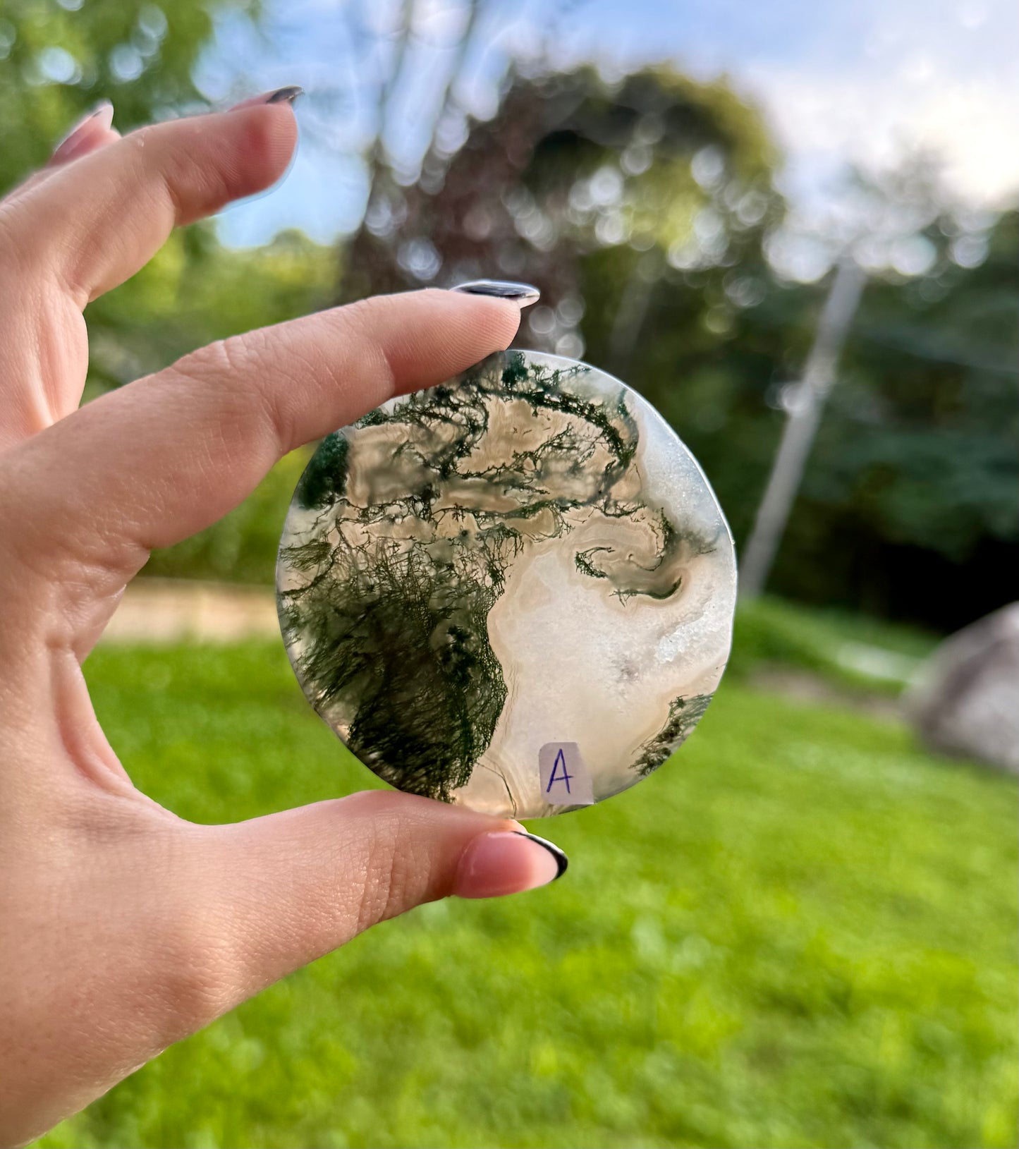 Moss agate circle slabs