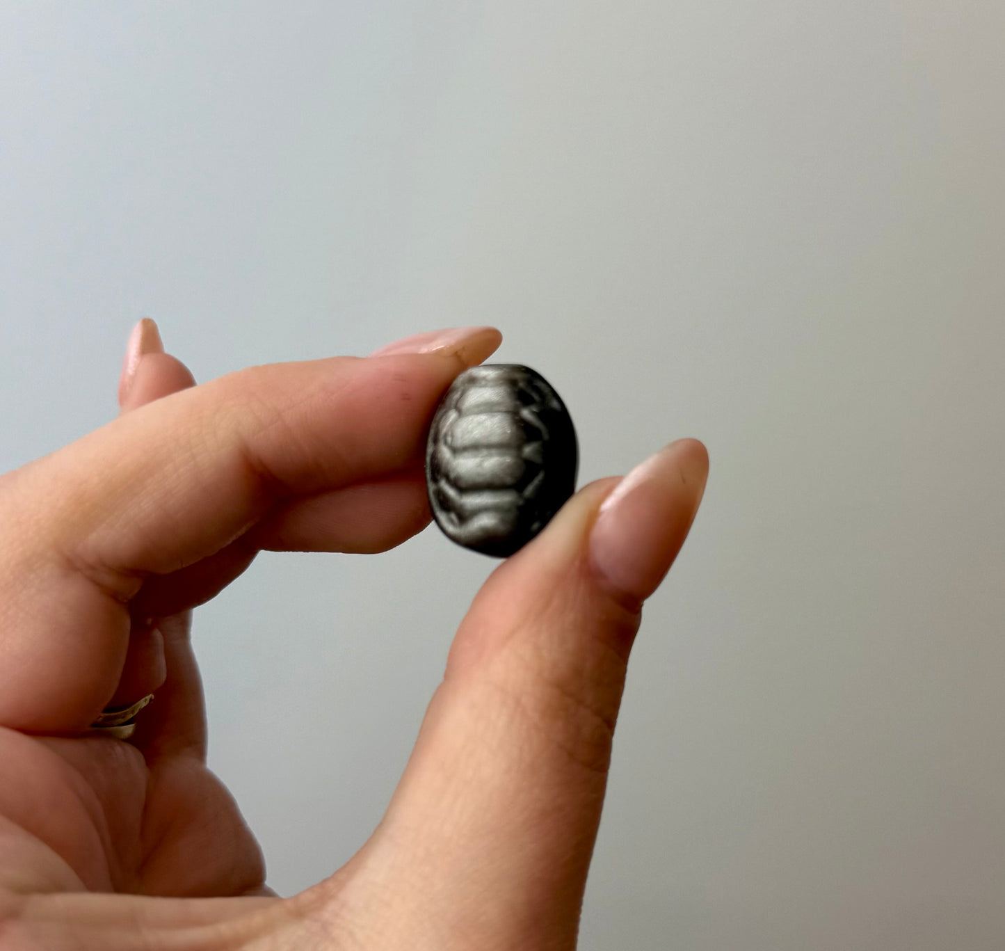 Silver obsidian turtle shell carvings