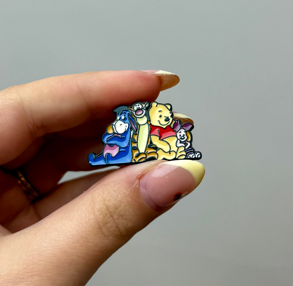 Winne the Pooh friends enamel pin