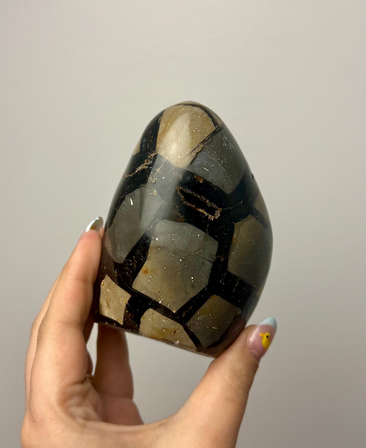 Septarian freeform
