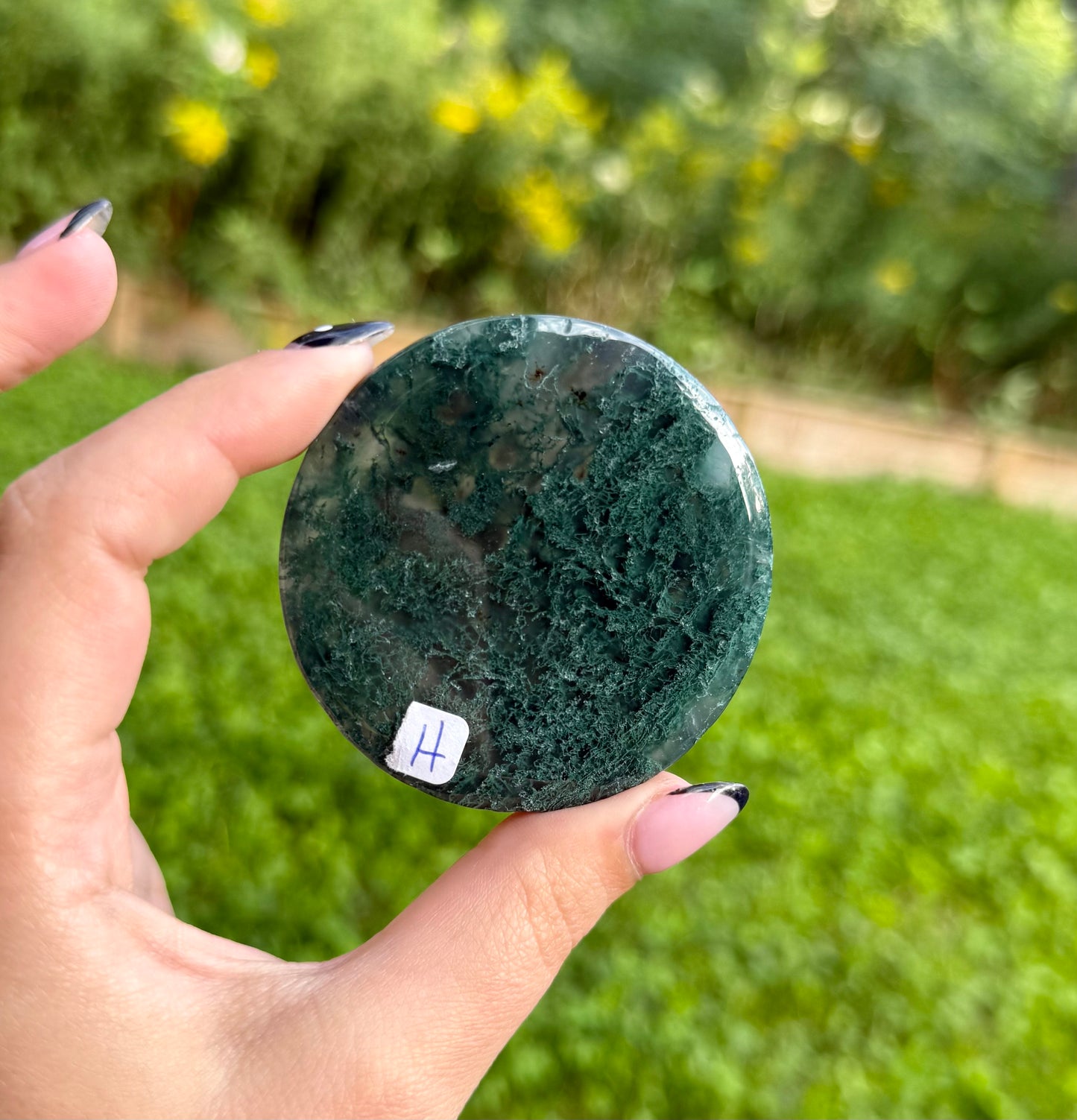 Moss agate circle slabs