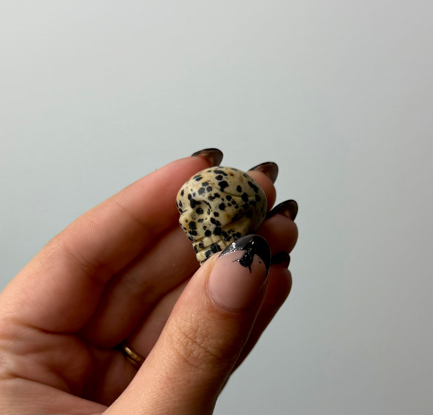 Dalmatian jasper skull carving