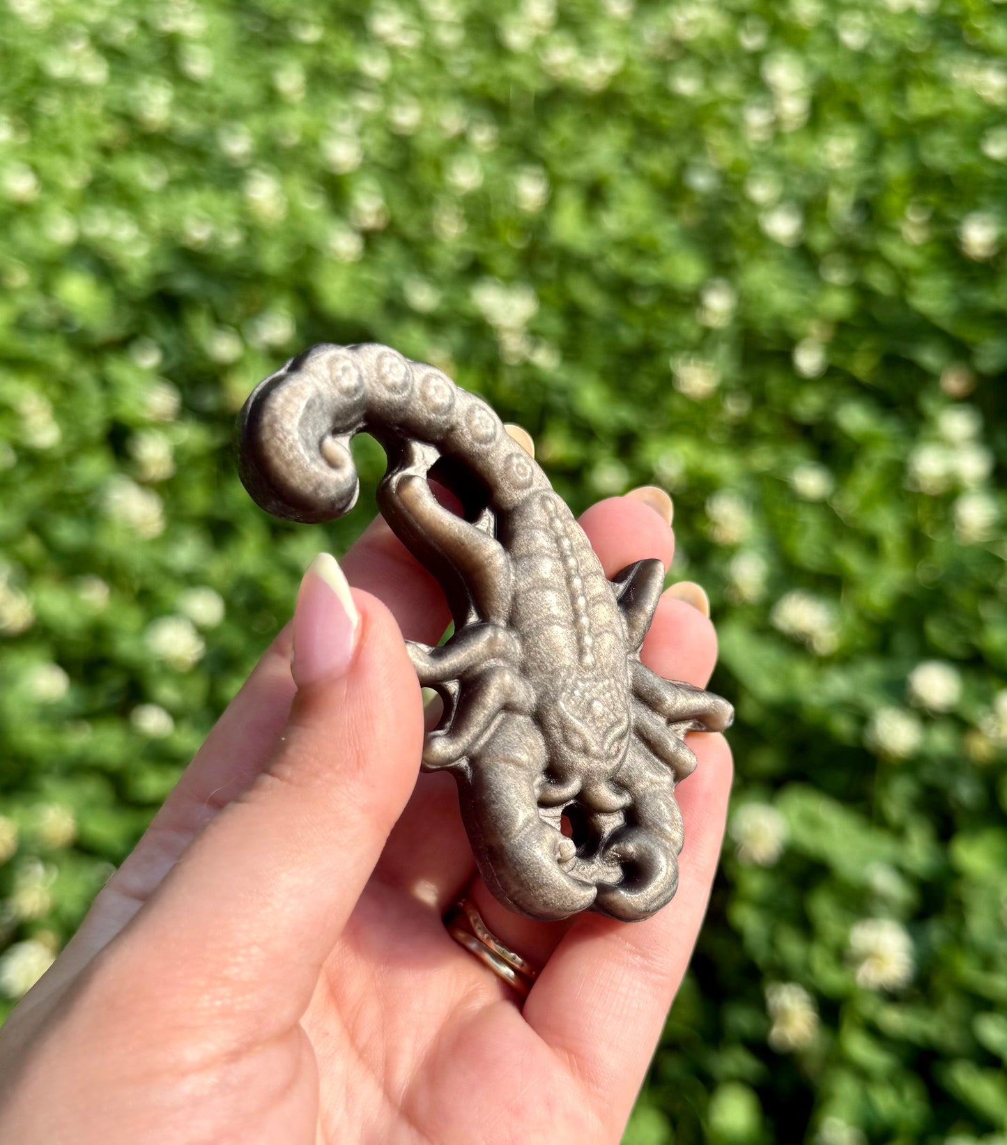 Scorpion carving