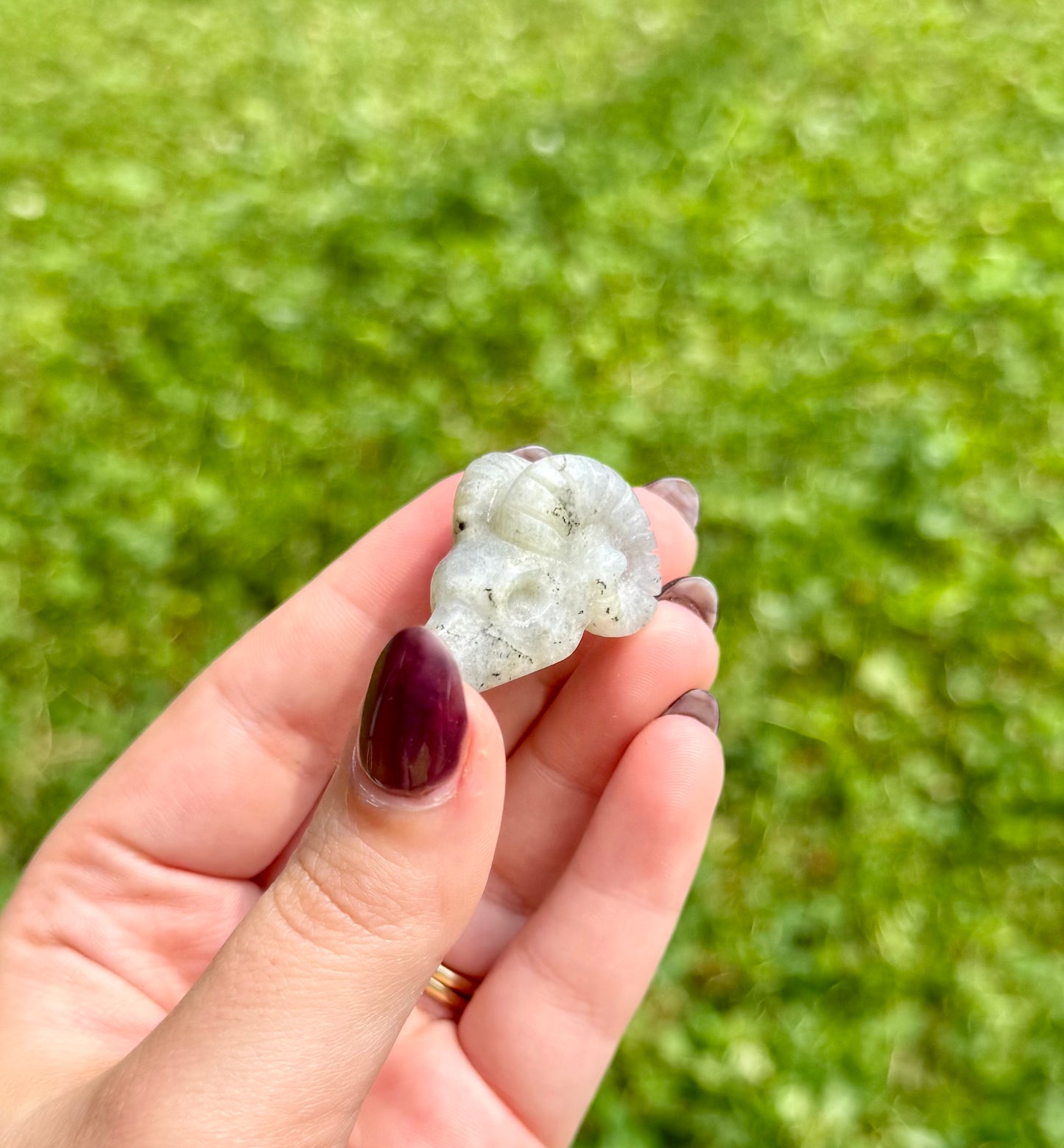 Labradorite goat skull carving