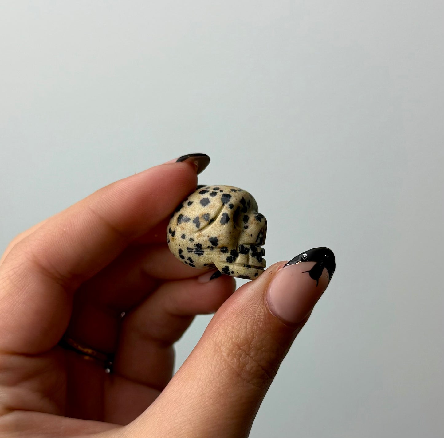 Dalmatian jasper skull carving