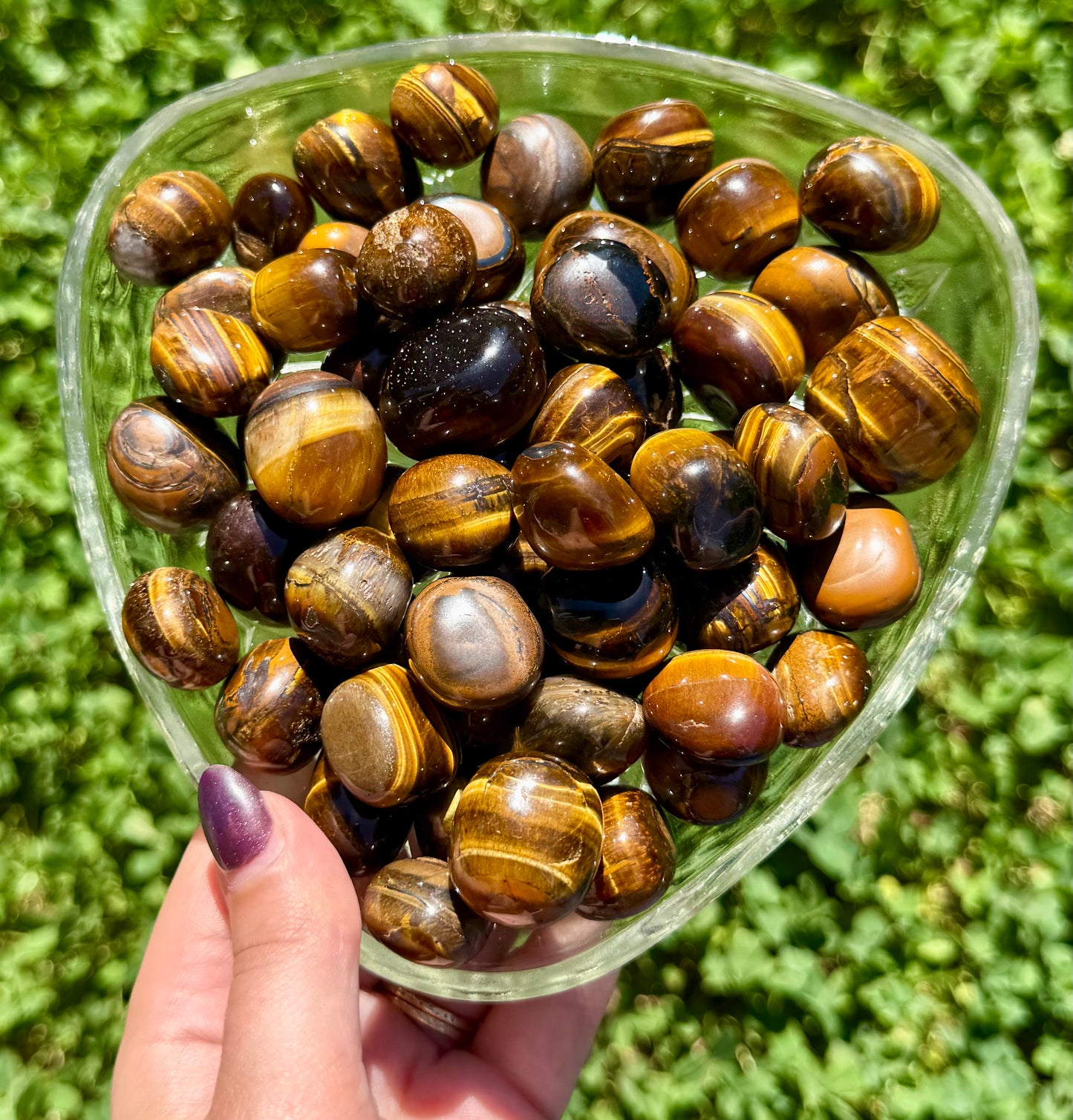 Tigers eye tumbles