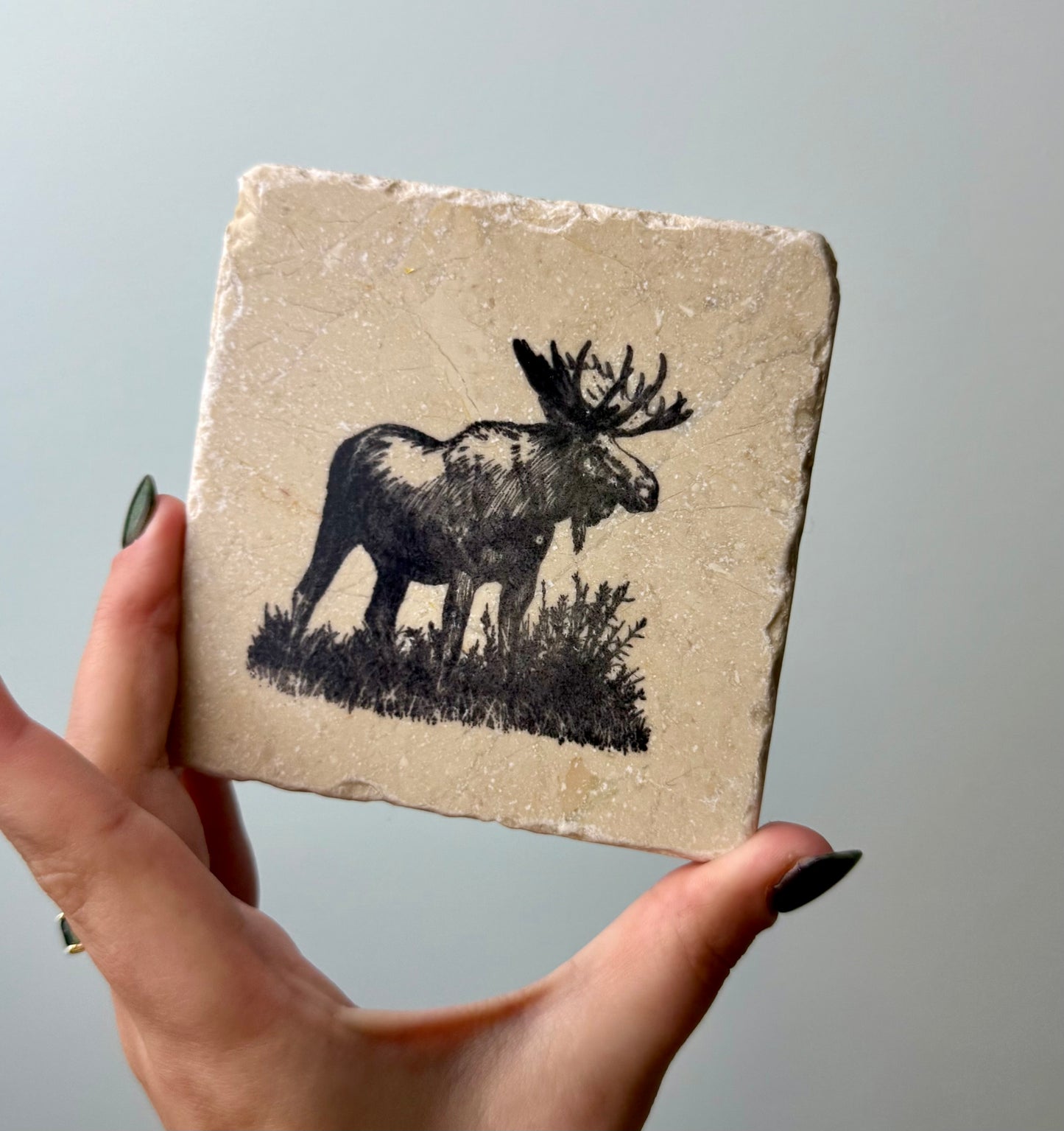 Set of 4 rock moose coasters thrifted find
