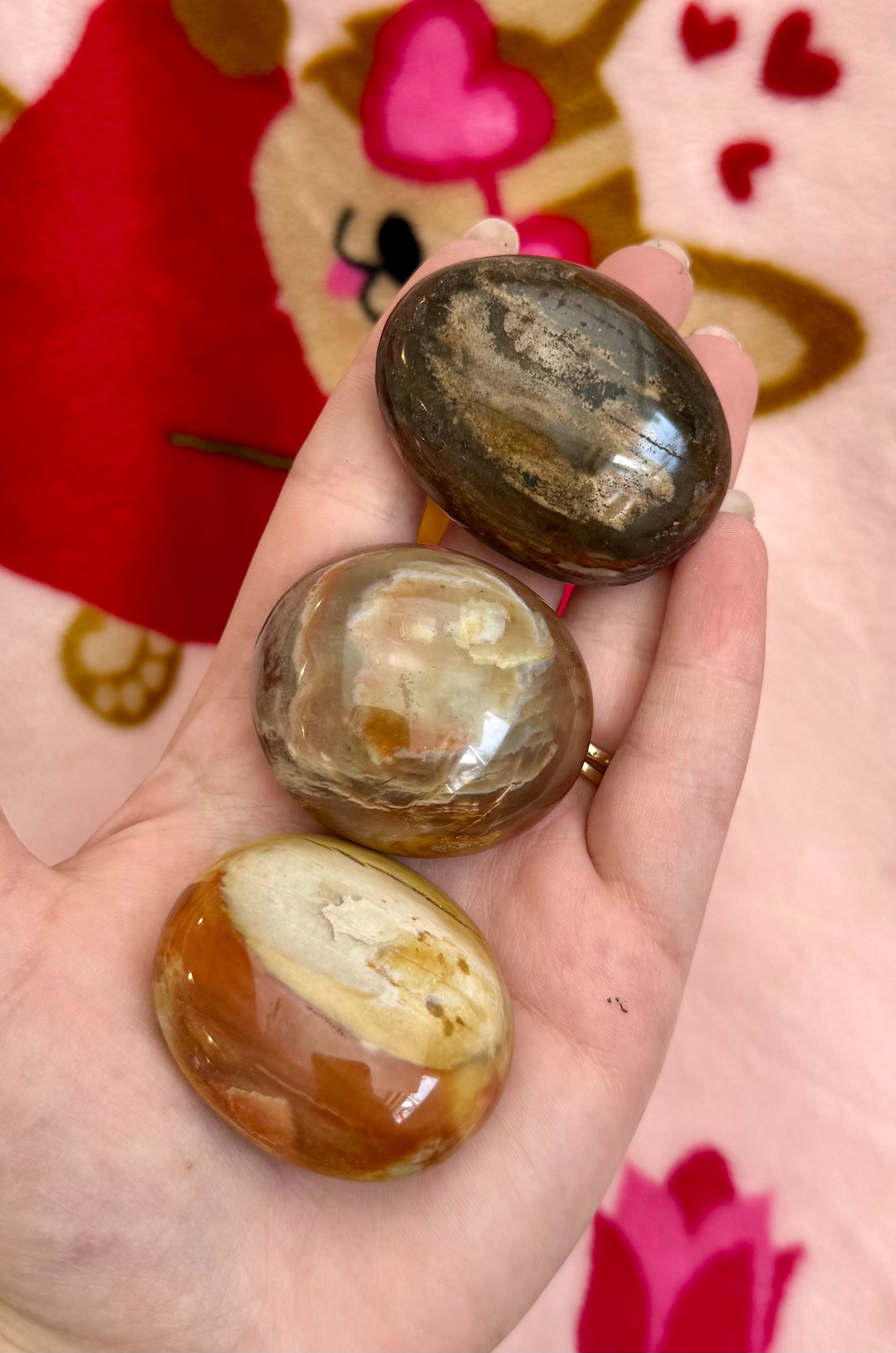 Petrified wood palm stones