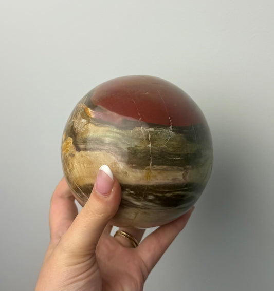 Petrified wood sphere