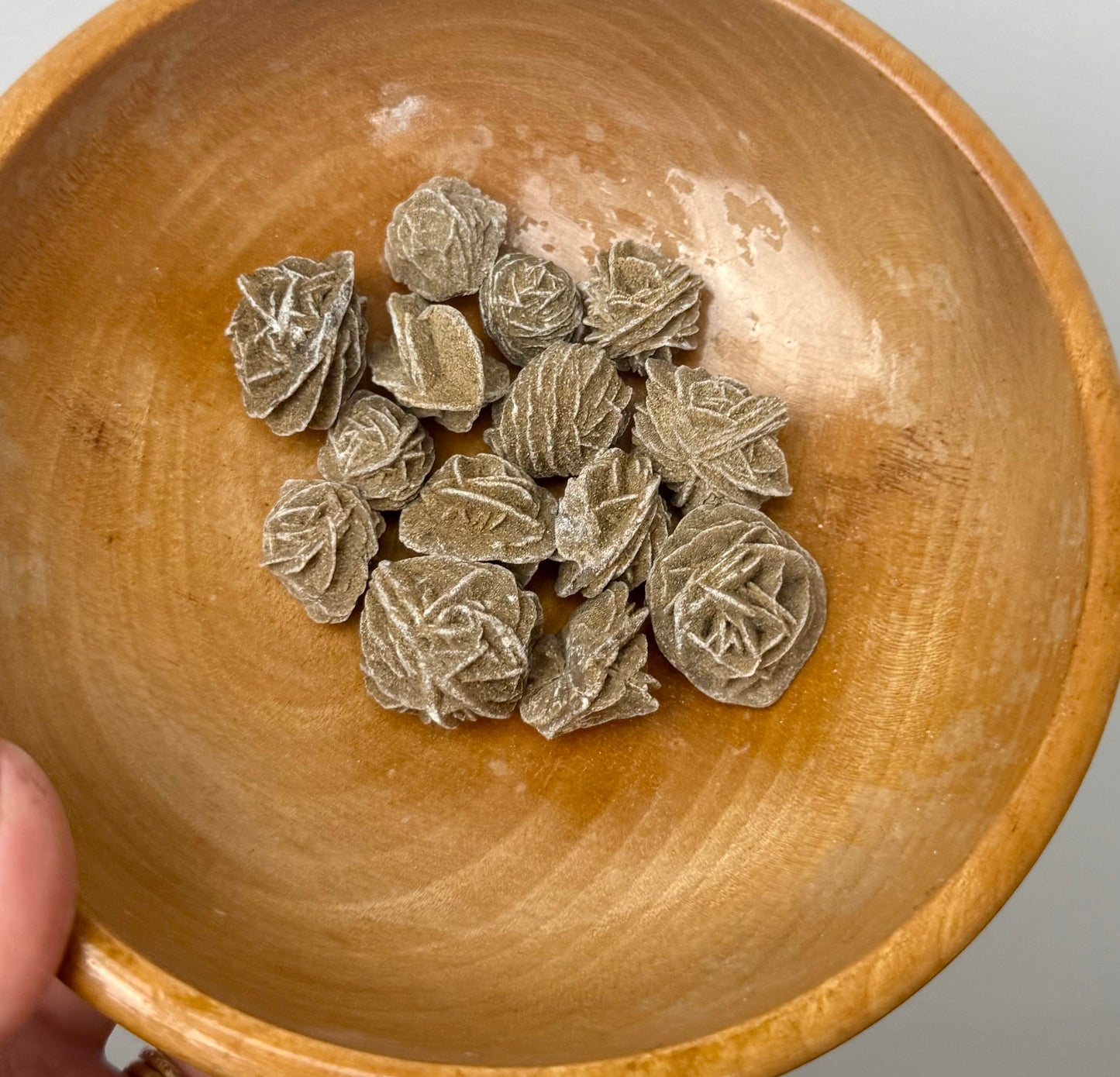 Desert rose specimens
