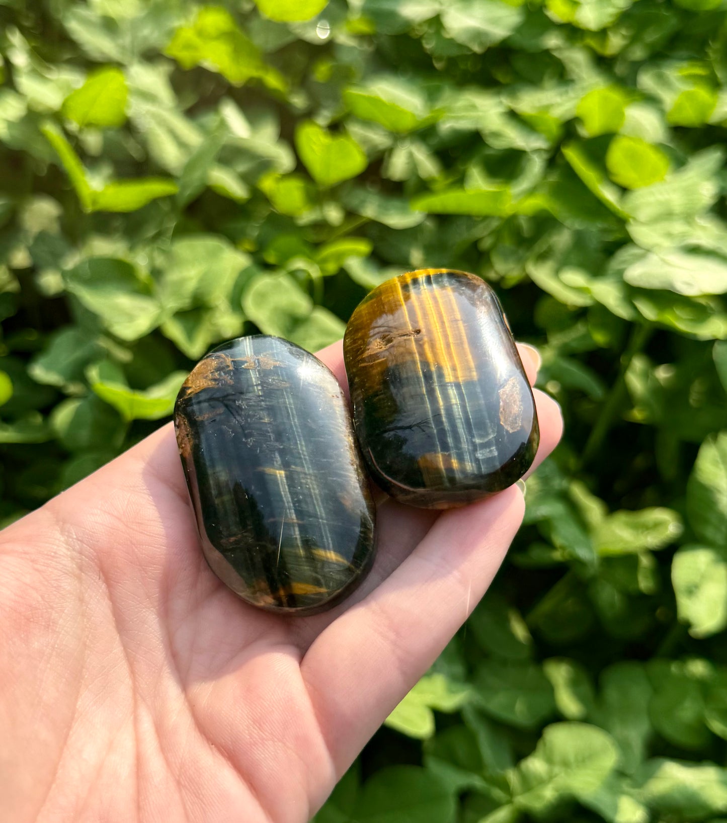 Blue yellow tigers eye palm stones