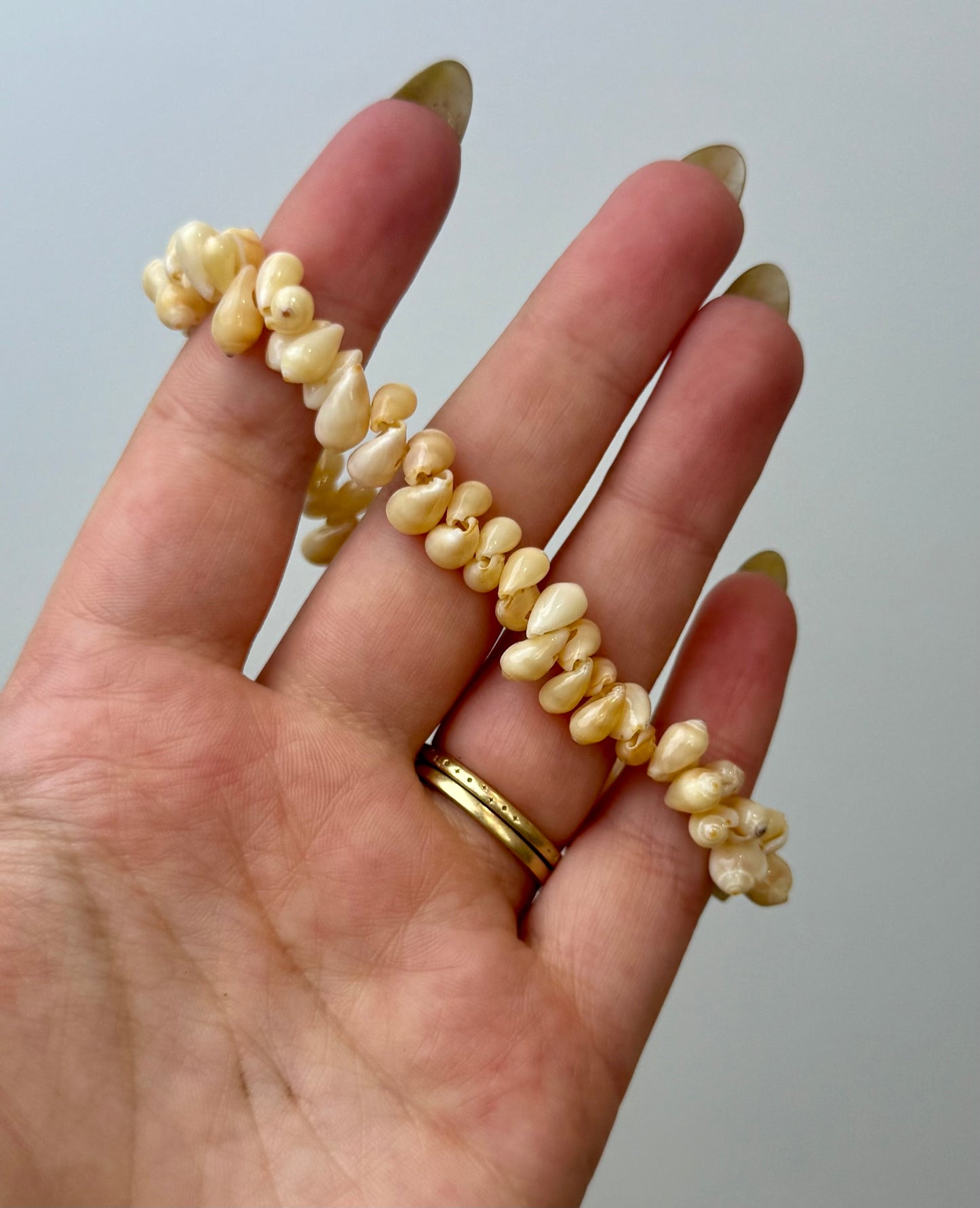 Seashell bracelet thrifted find