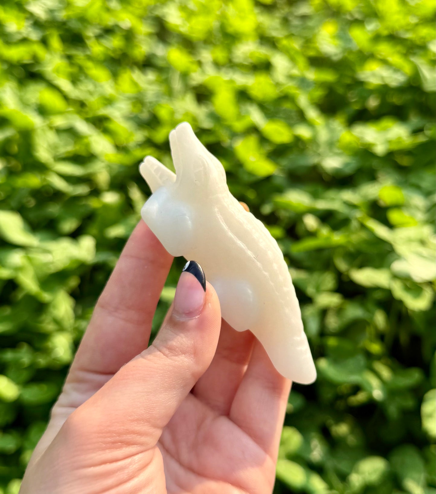White jade crocodile carvings