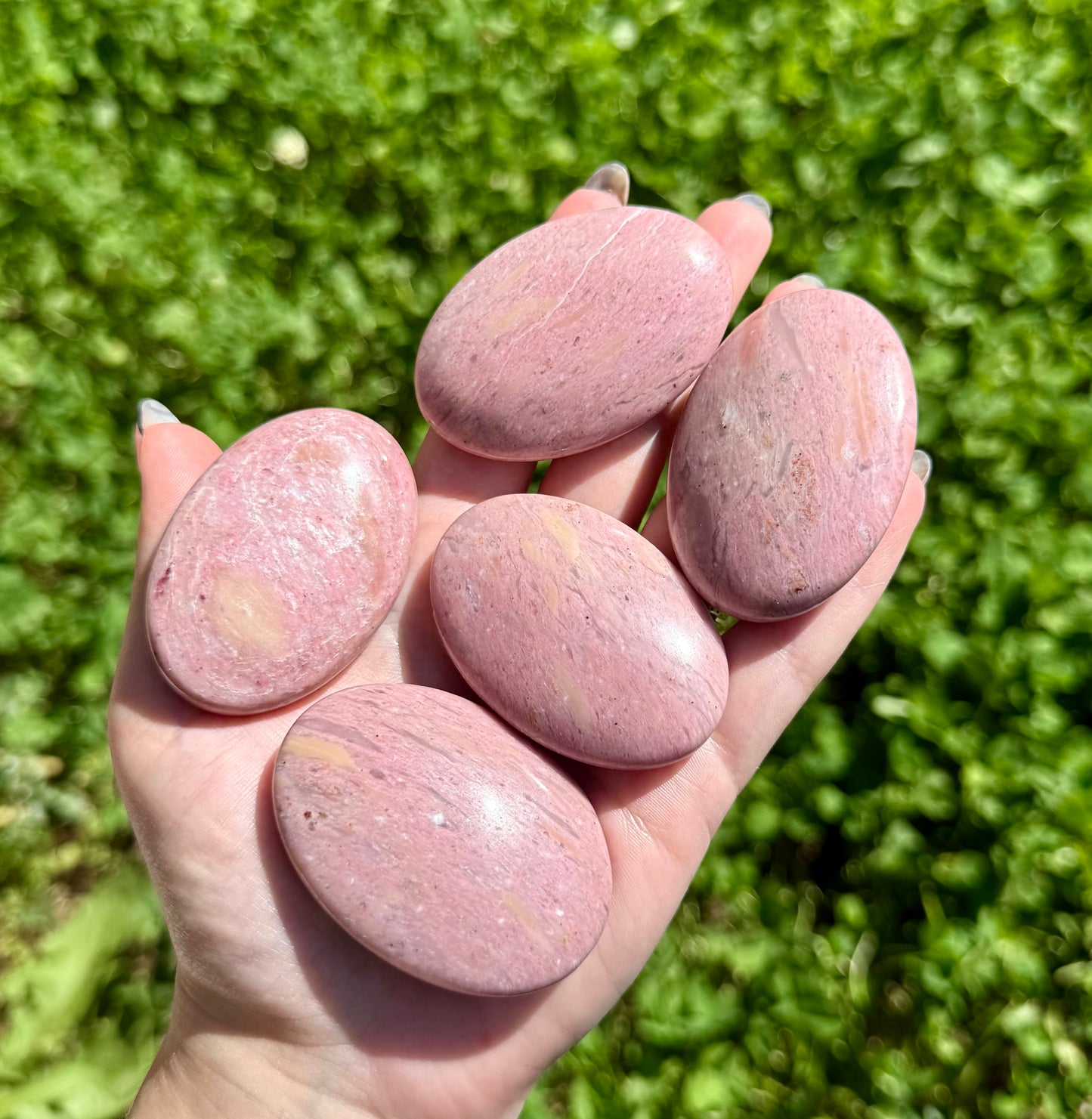 Pink petrified wood palm stones