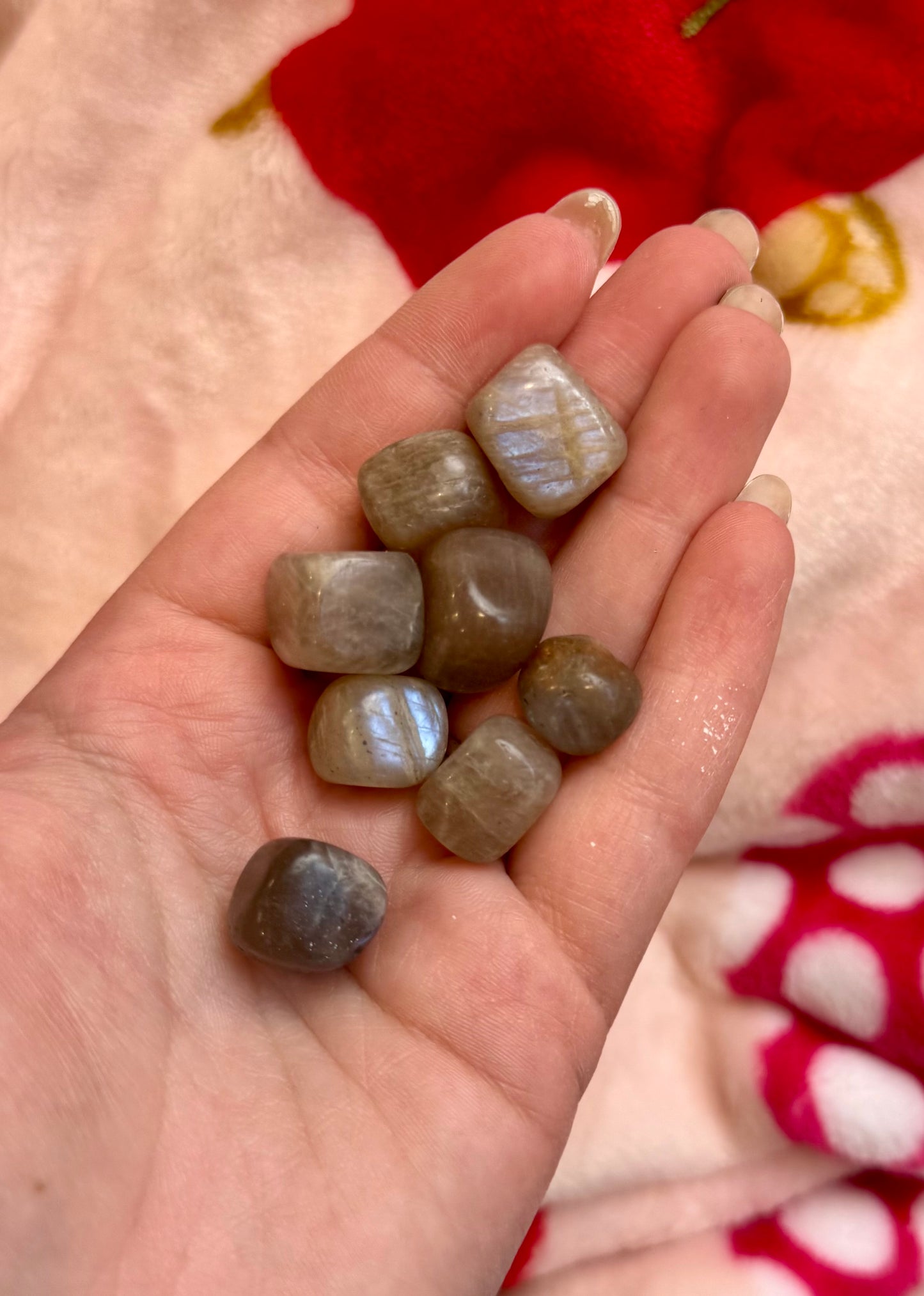 Mini blue moonstone tumbles