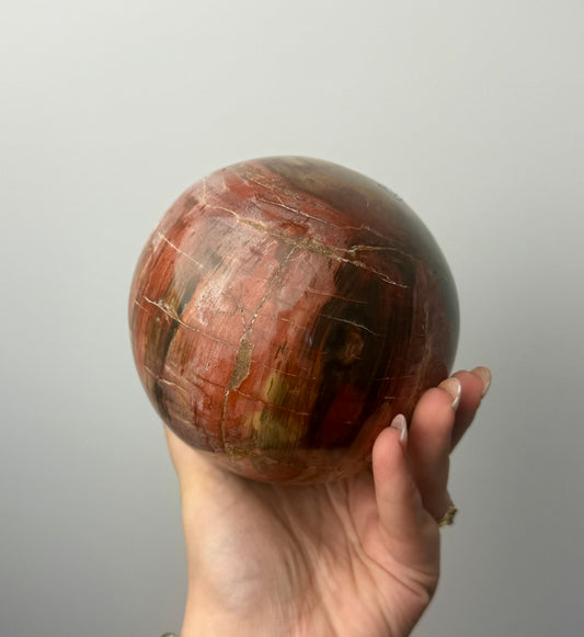 Petrified wood sphere