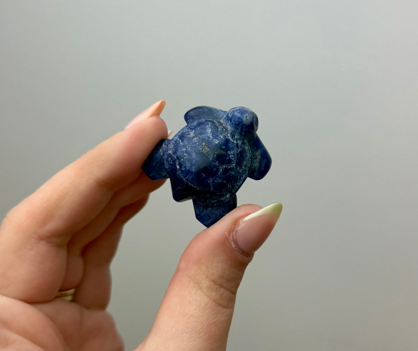 Sodalite turtle carving