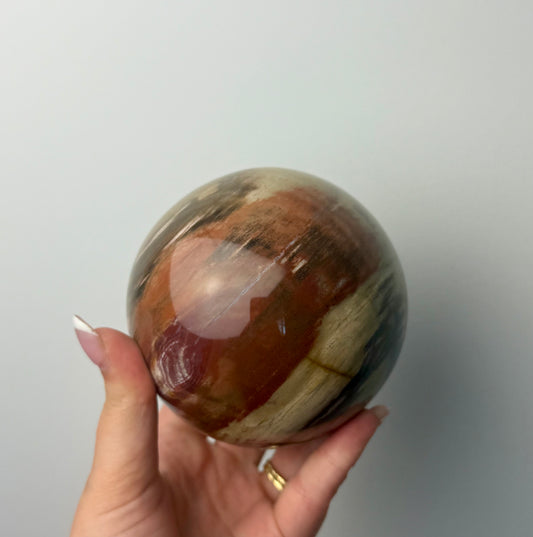 Petrified wood sphere