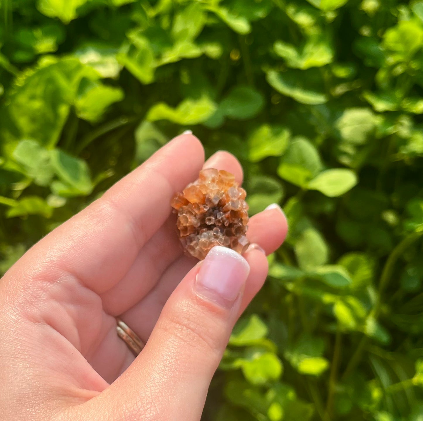 Aragonite specimen