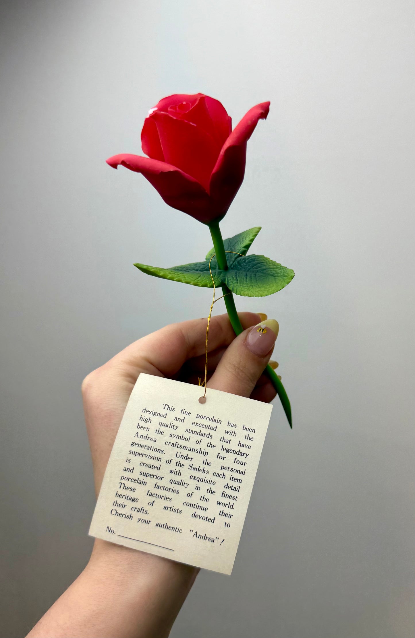 Andrea imperfect rose thrifted find