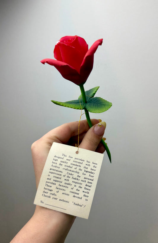 Andrea imperfect rose thrifted find