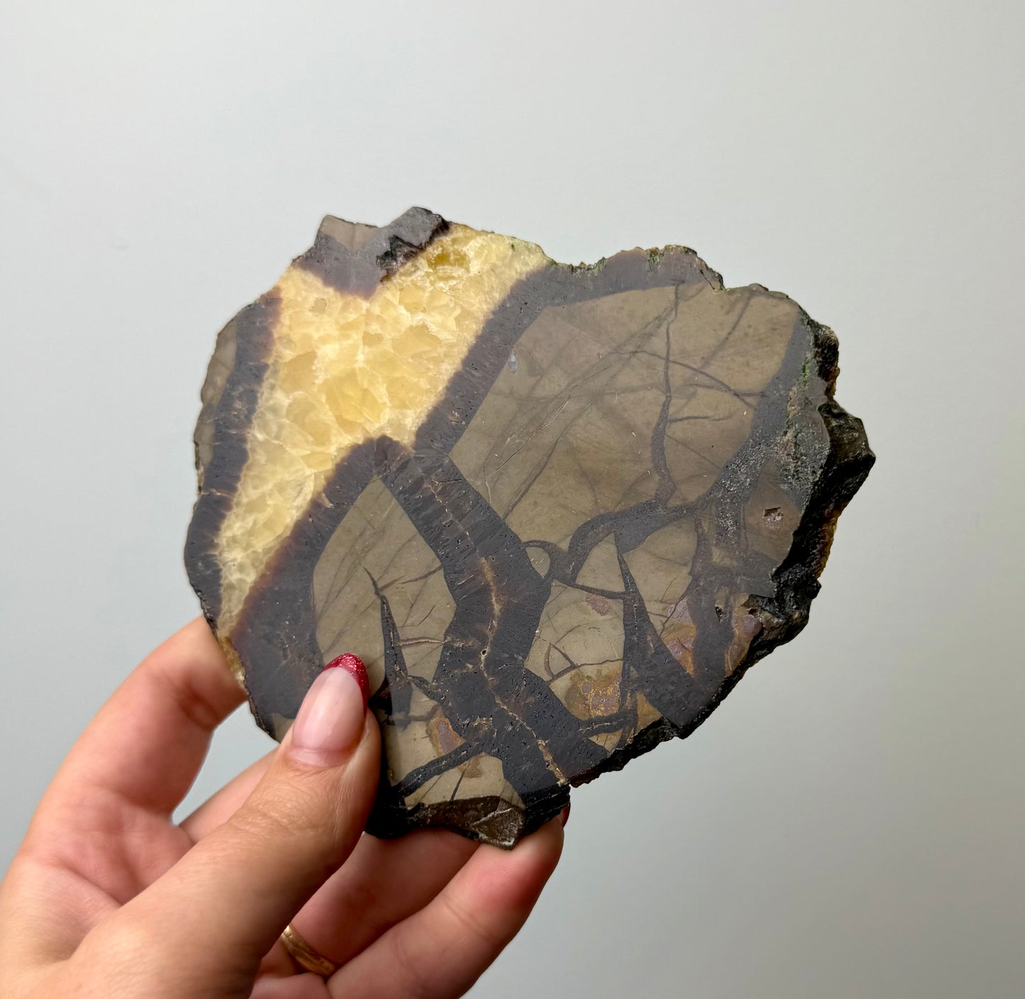 Septarian slab