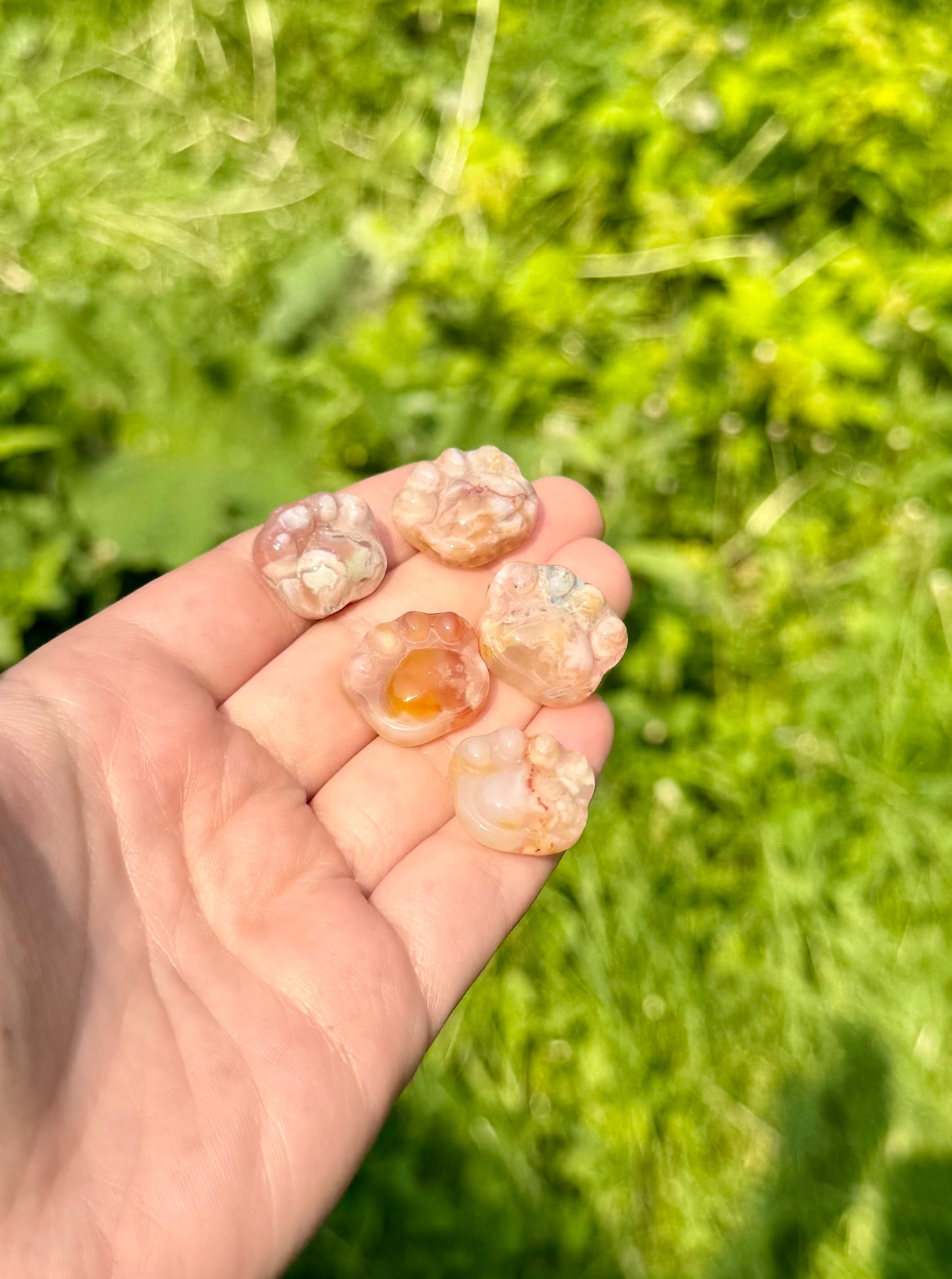 Flower agate paw print carvings