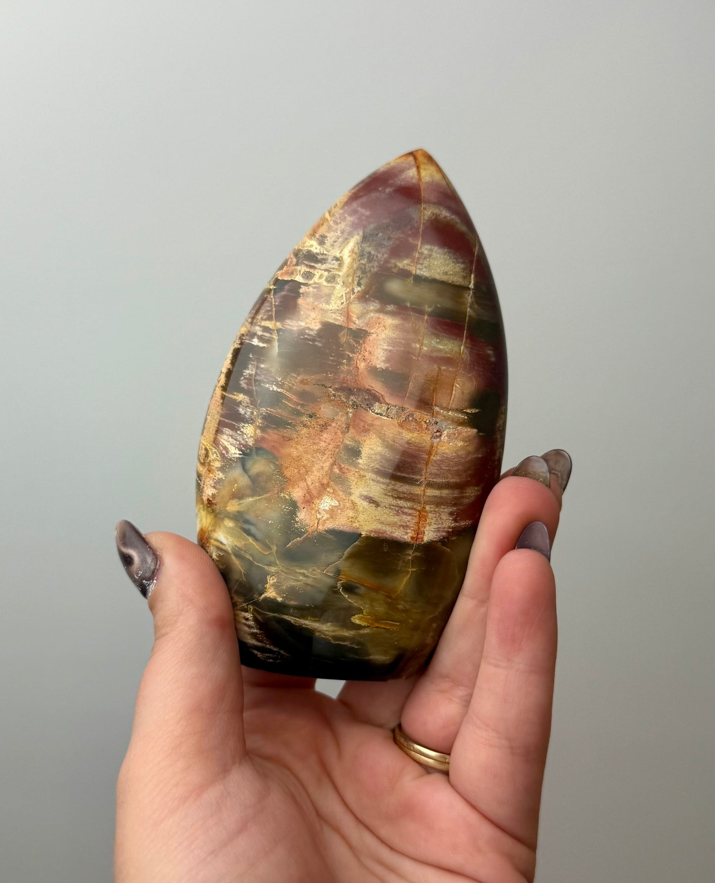 Petrified wood freeform