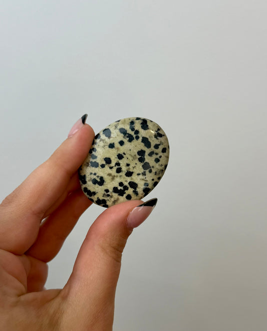 Dalmatian jasper worry stone