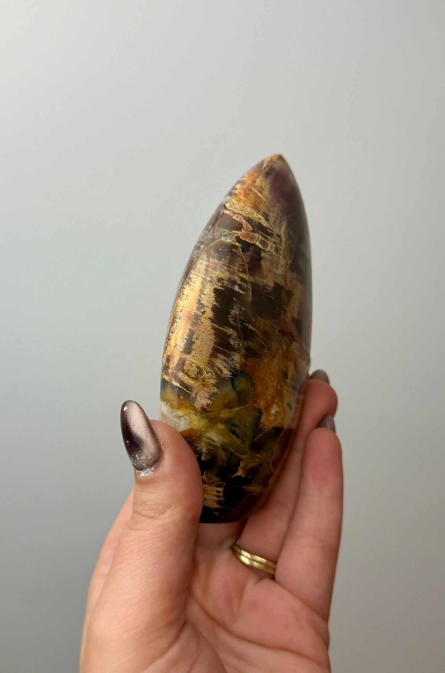 Petrified wood freeform