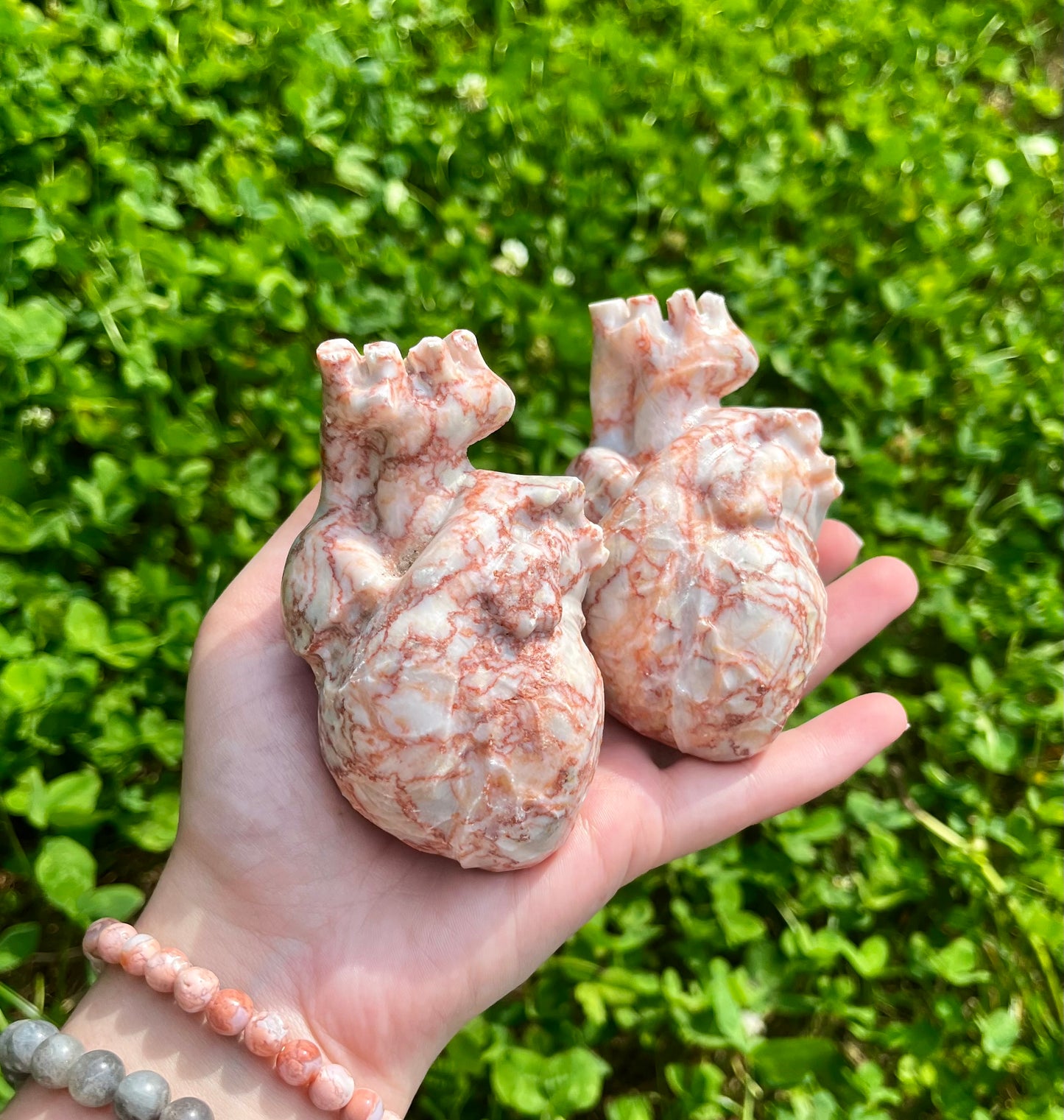 Anatomical heart carving