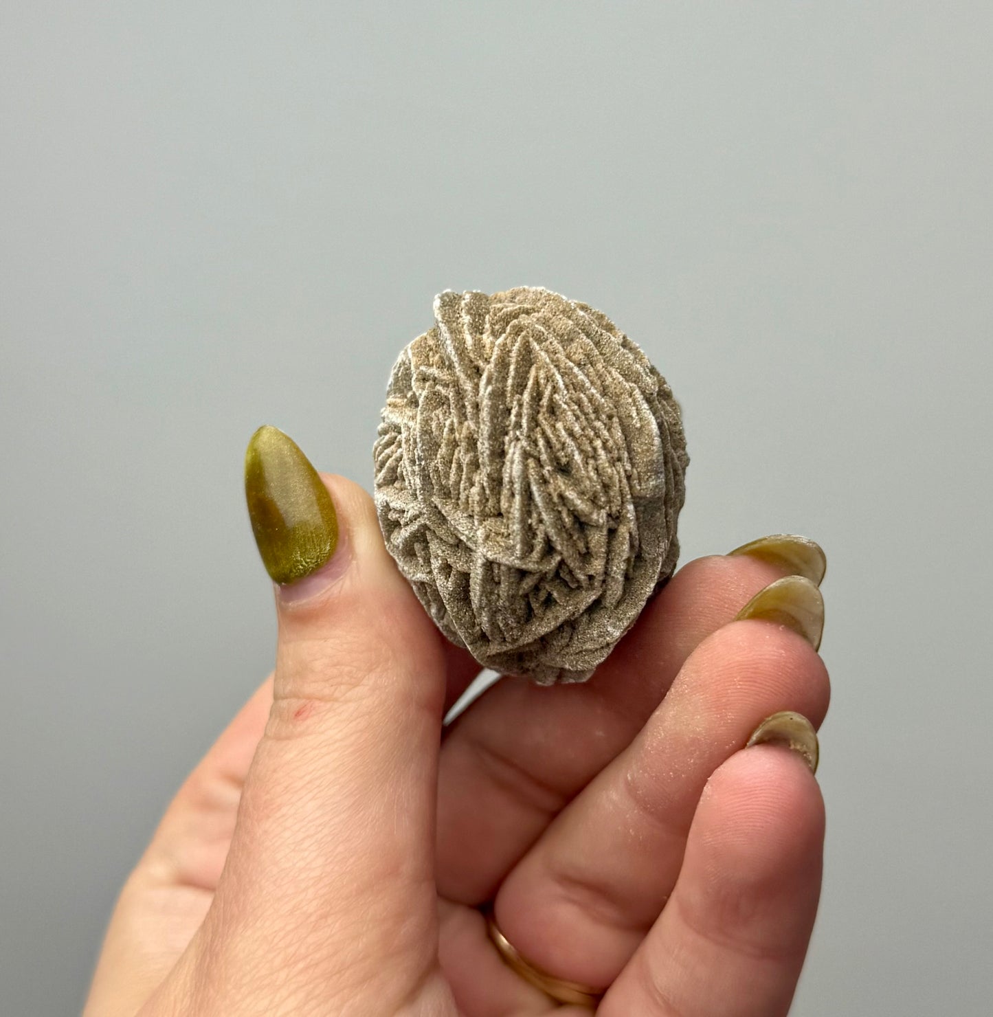 Desert rose specimen