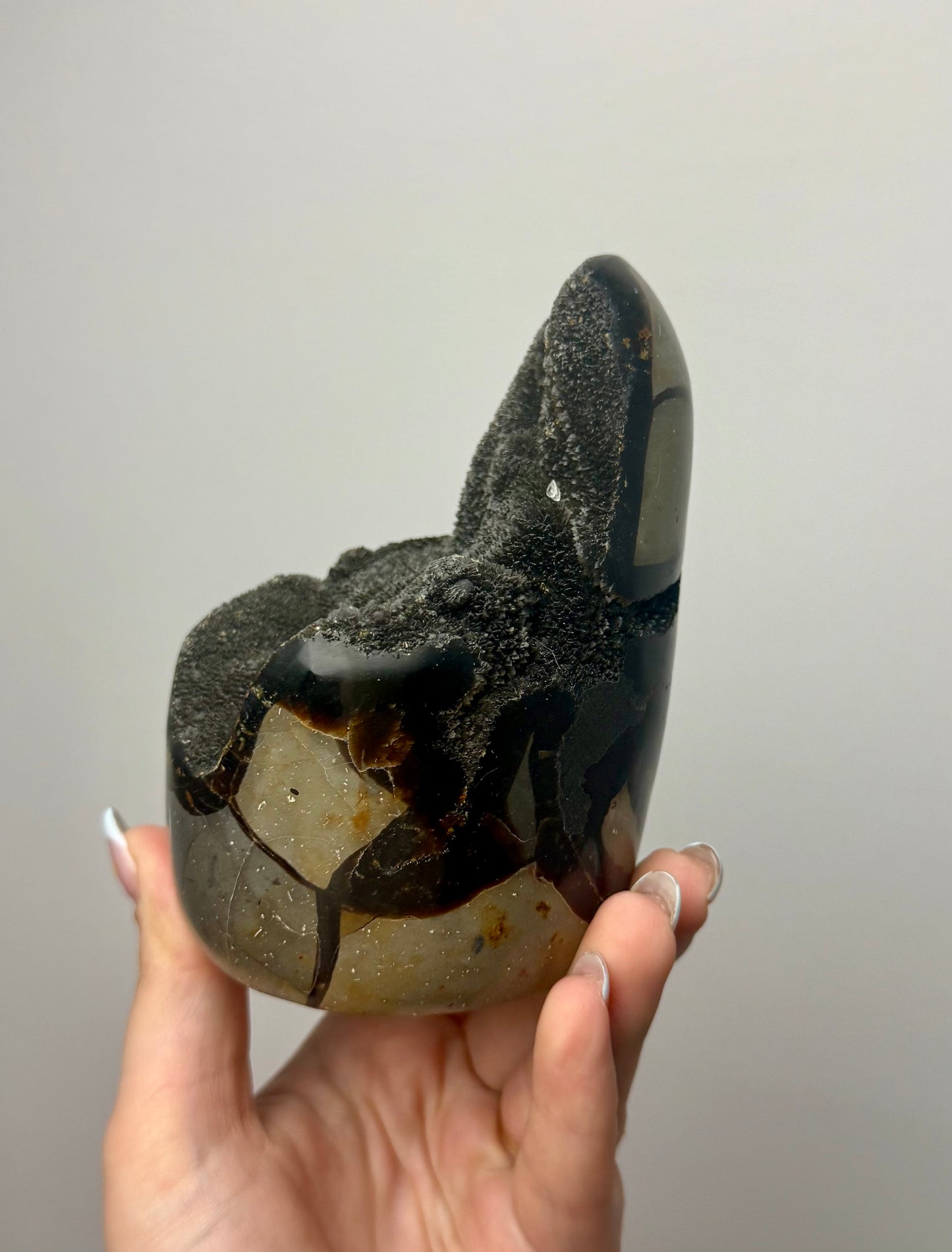 Septarian freeform