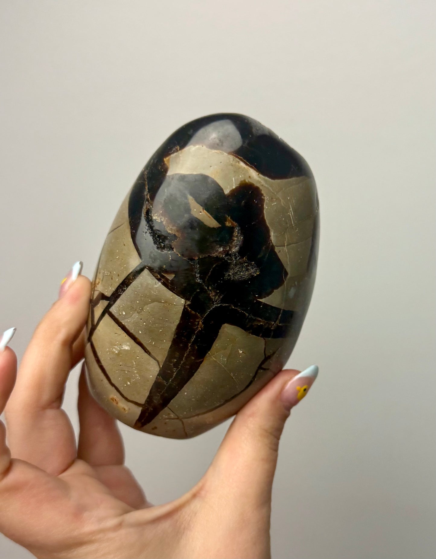 Septarian freeform
