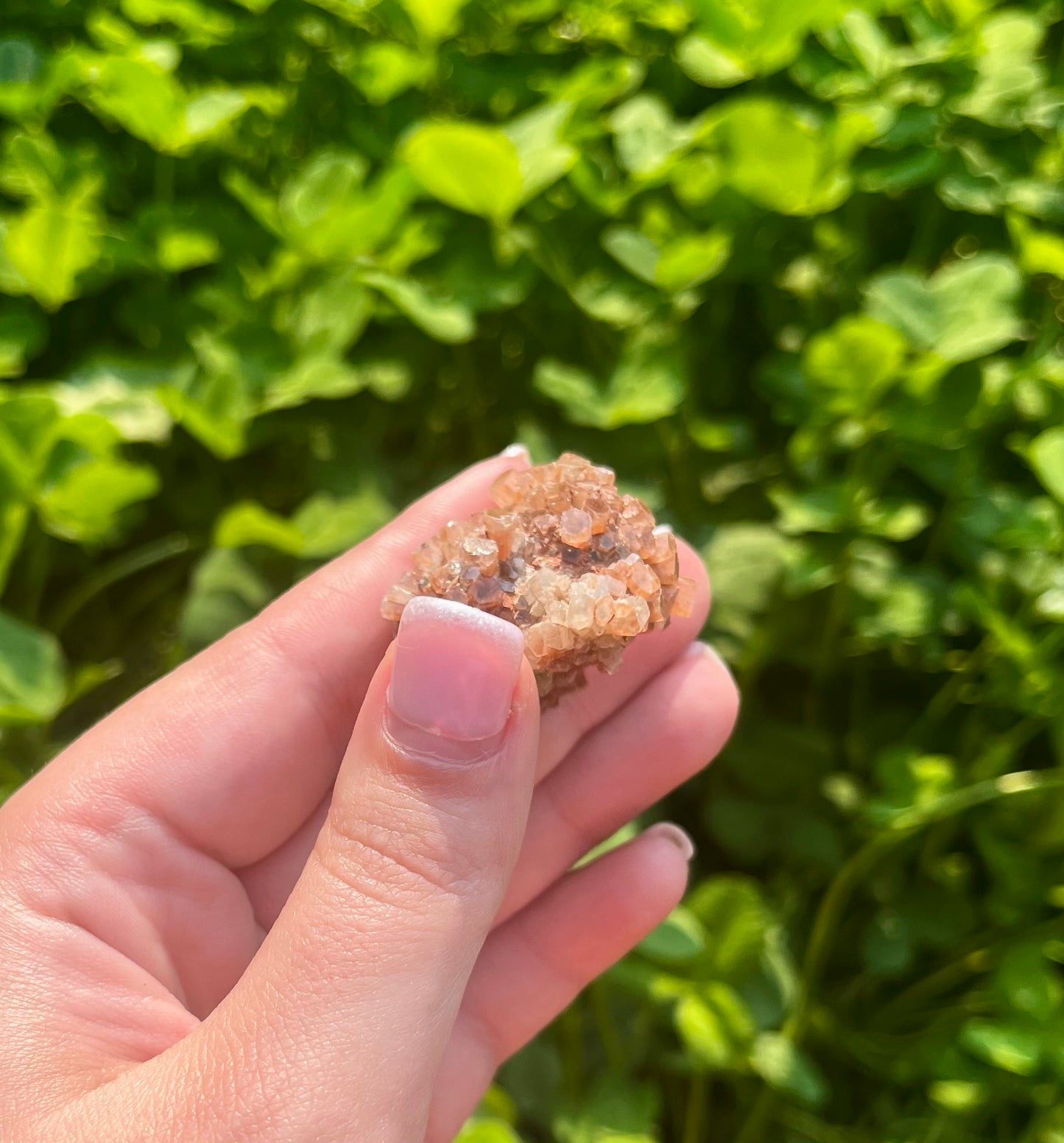 Aragonite specimen