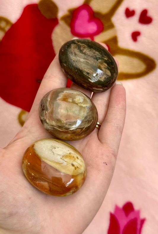 Petrified wood palm stones